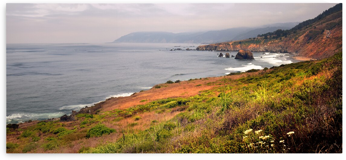 Coastal Views Panorama by Frank Wilson