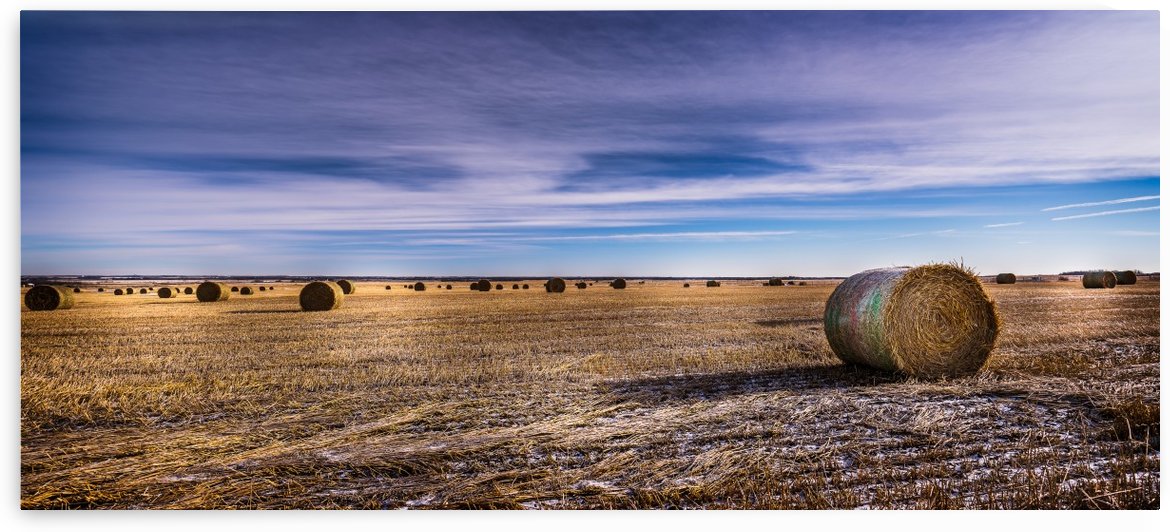 Round Bails of Hay by Lisa Poirier