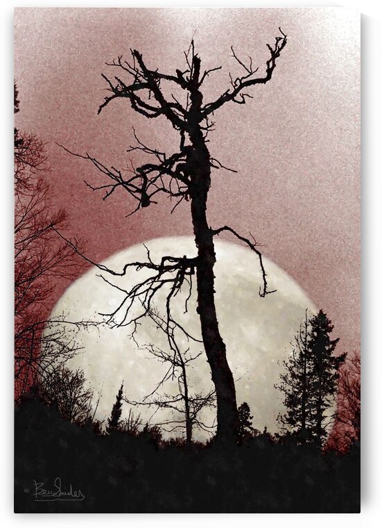 Tree and Full Moon  by Bev Snider