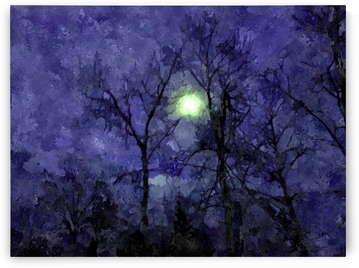 NIGHT SKY by Bev Snider