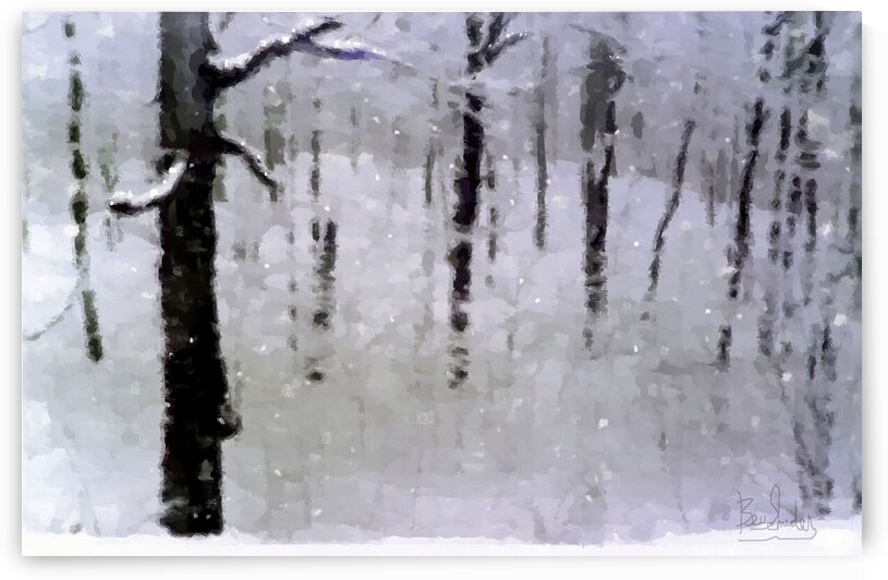 WinterTrees by Bev Snider