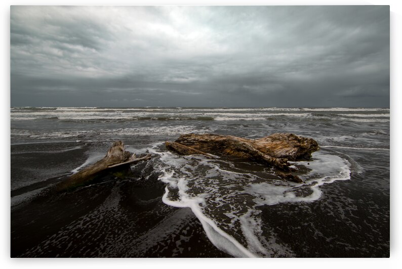 Costa Rica Black Cahuita Beach Beach by Norma Brandsberg Photography