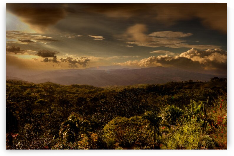 Costa Rica San Ramon Coffee Plantation  Gulf of Nicoya by Norma Brandsberg Photography