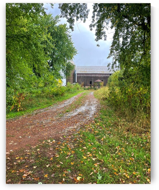 Path to the Old Barn by Bill Swartwout Photography