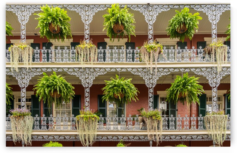 Traditional wrought iron balcony on brick New Orleans house by Steve Heap