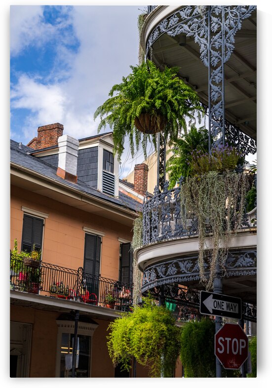 Traditional wrought iron balcony on brick New Orleans house by Steve Heap