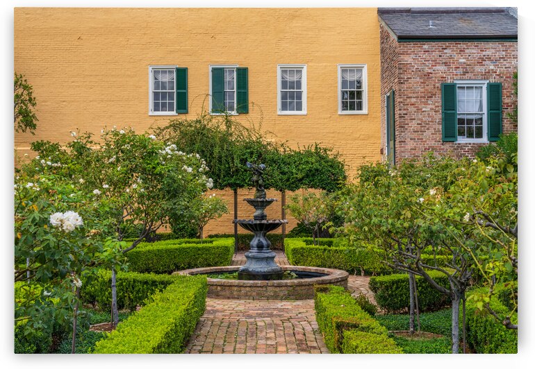Small tree filled garden in French Quarter of New Orleans by Steve Heap
