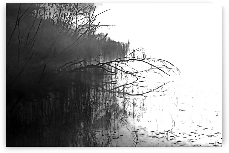 Foggy Sunrise Black And White by Deb Oppermann