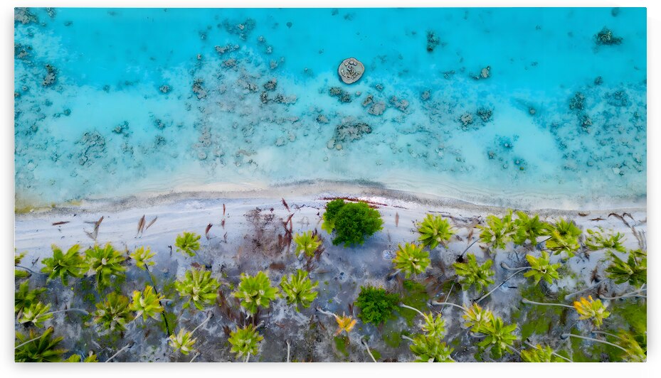 Separation by Stuart Colquhoun