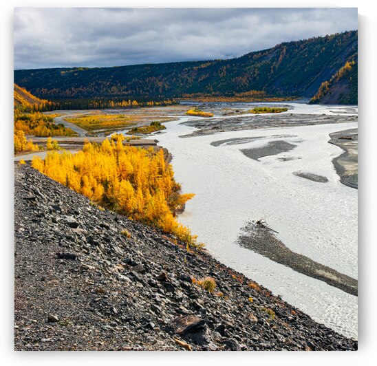 Alaskan River Gold by Prairie Wind Imagery