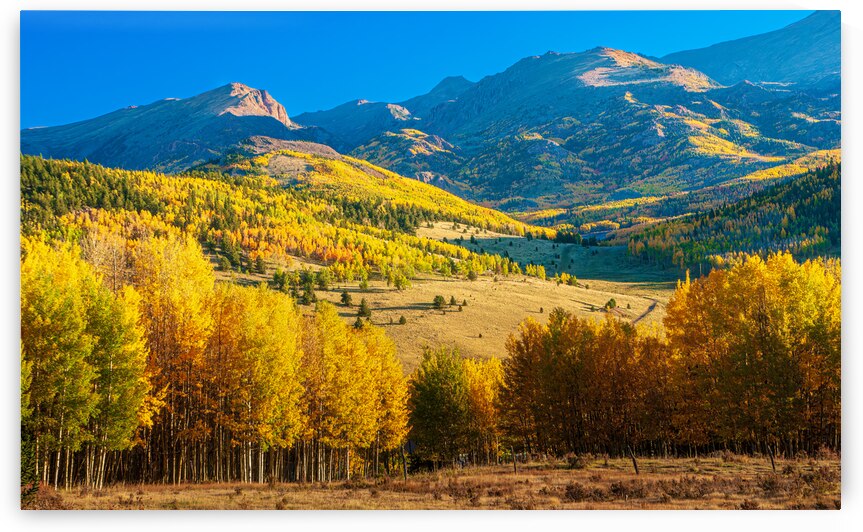 Golden Valley by Prairie Wind Imagery