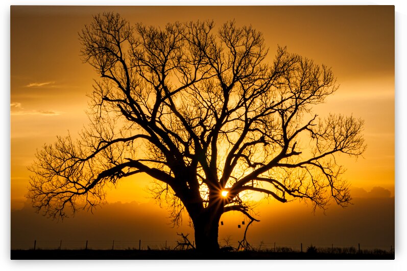 A New Dawn by Prairie Wind Imagery
