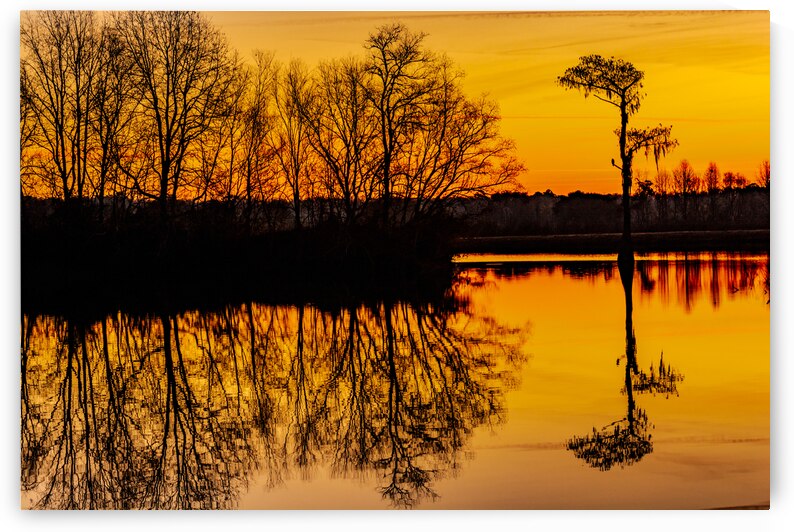 Florida Sunrise by Prairie Wind Imagery