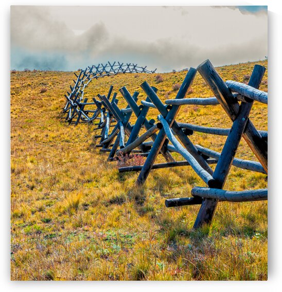 Fence Line by Prairie Wind Imagery
