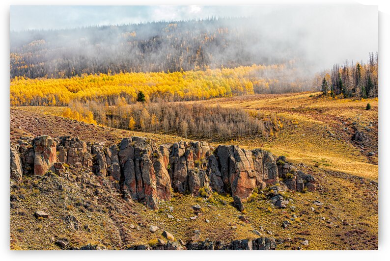 Misty Gold by Prairie Wind Imagery