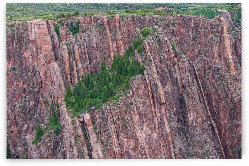 Rock Wall Forest by Prairie Wind Imagery