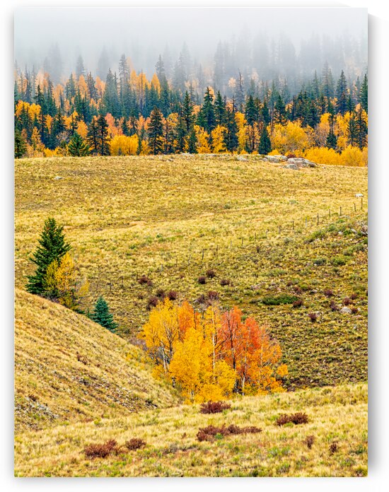 An Abundance of Color by Prairie Wind Imagery