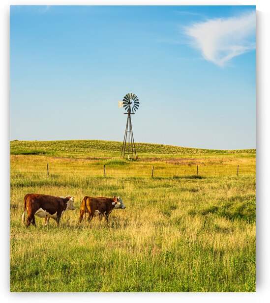 Iconic Sandhills Scene by Prairie Wind Imagery