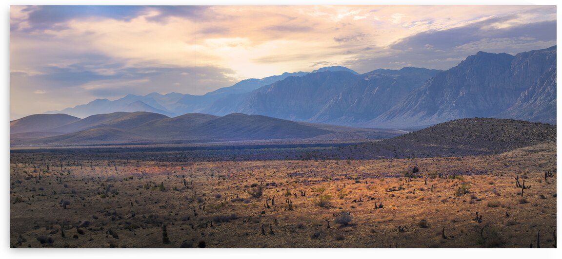 Majestic Mountain Vista Panorama by Frank Wilson