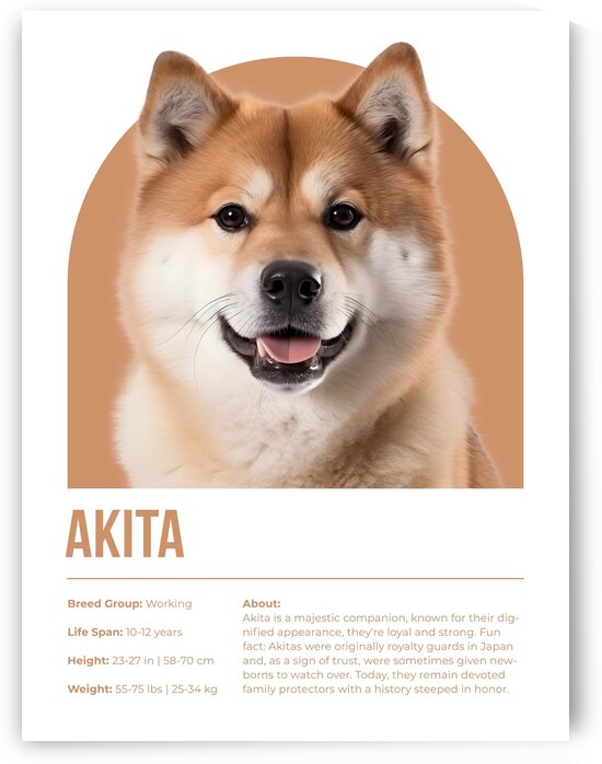 Akita Informative Poster by Windawn