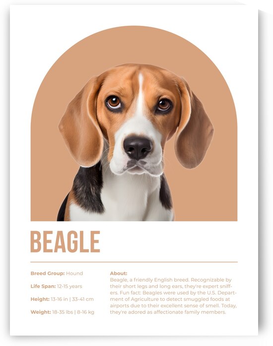 Beagle Informative Poster by Windawn