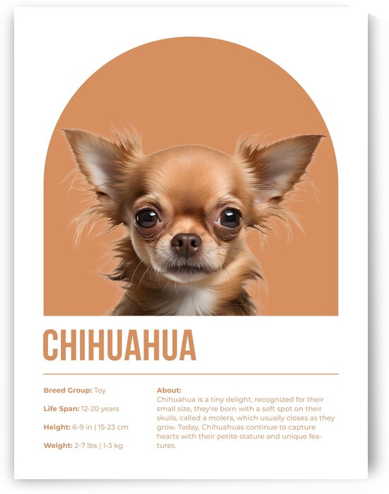 Chihuahua Informative Poster by Windawn