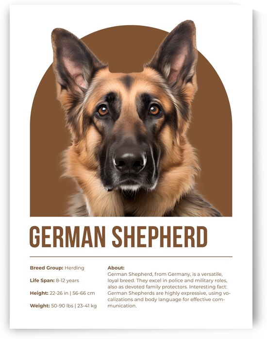 German Shepherd Informative Poster by Windawn