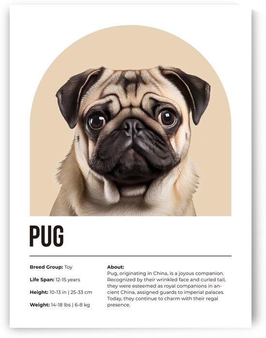 Pug Informative Poster by Windawn
