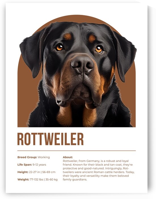Rottweiler Informative Poster by Windawn