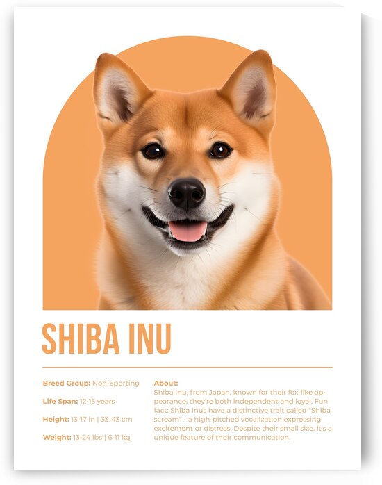 Shiba Inu Informative Poster by Windawn
