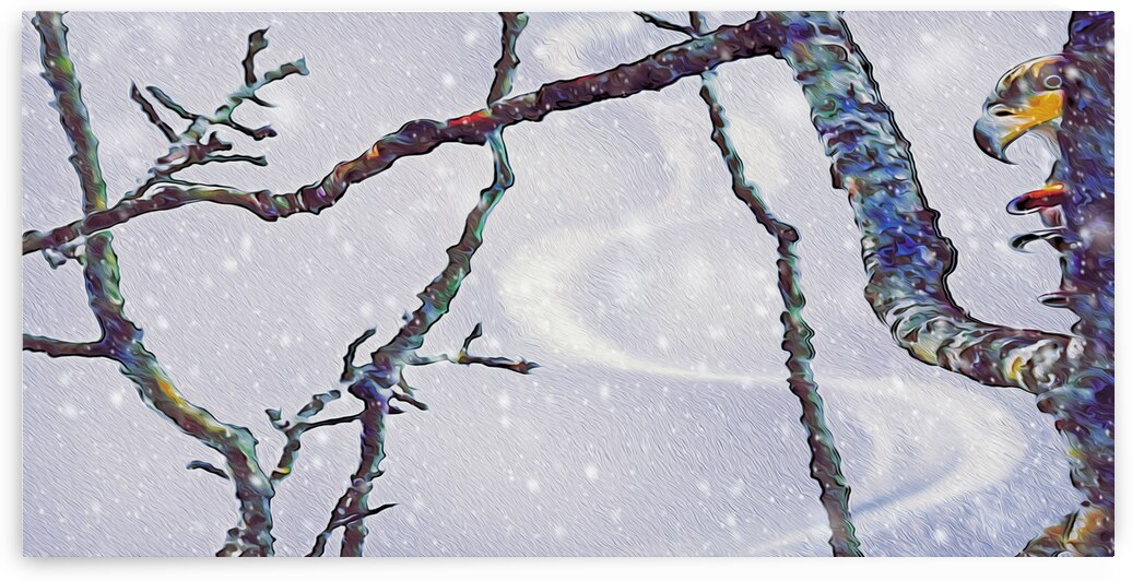 beakaboo panoramic orientation by shawn morris creative