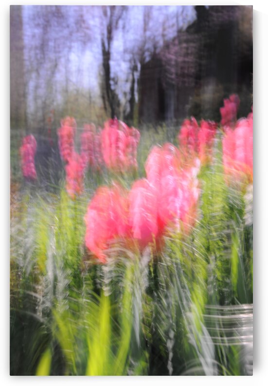 Garden in Fall by Peter Sturgis