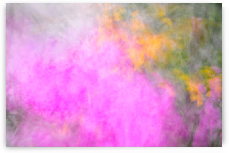 Flower Bed by Peter Sturgis