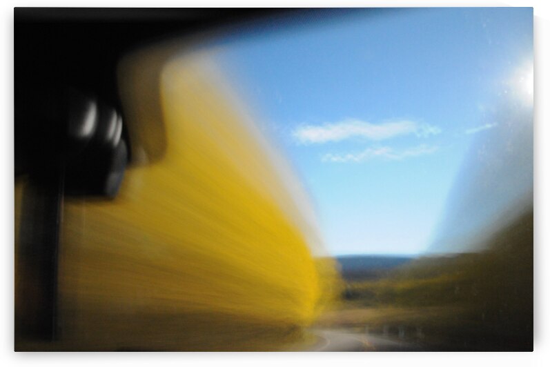 Aspens on the Road by Peter Sturgis