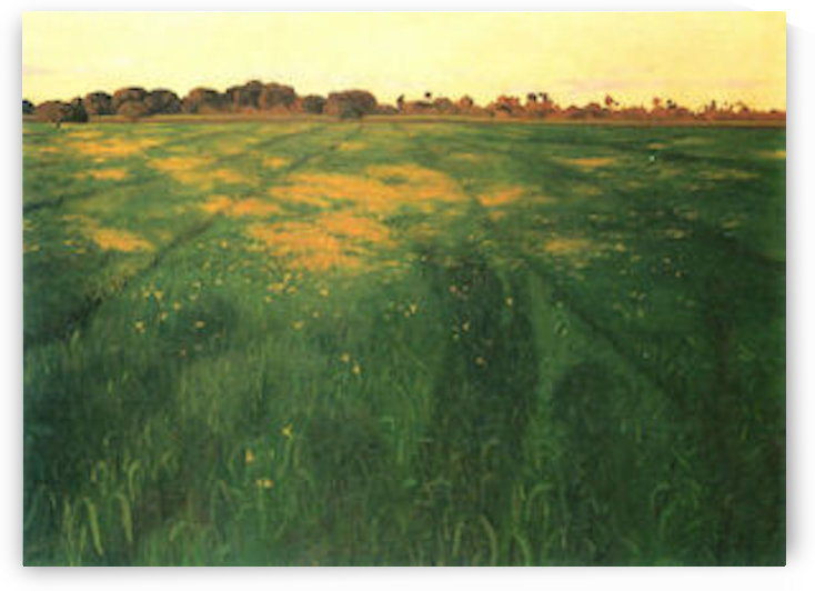 Field of green oats by Felix Vallotton
