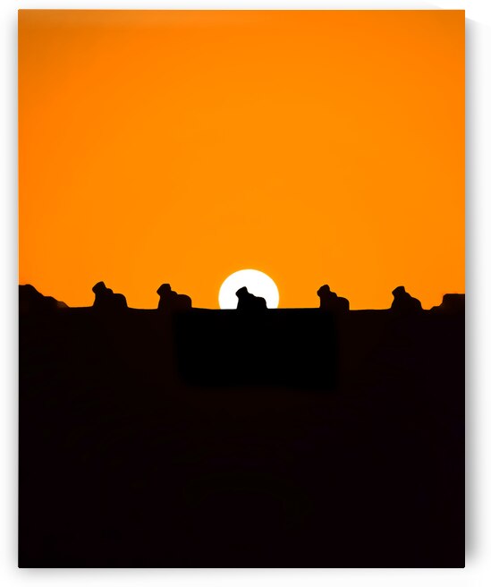 Setting Sun Meets Nandi | Silhouette | Temples of INDIA by Colors of INDIA