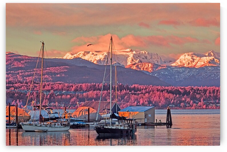 Full Light Spectrum Sunrise At Comox Harbour 4 by CRB Images Photography