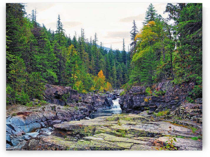 Lake McDonald Falls  by Bill Swartwout Photography