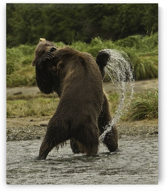 ANI 00164 by John Walborn Promenade Photos