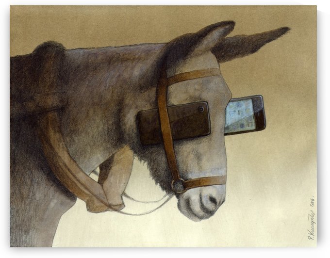 blinkers by Pawel Kuczynski