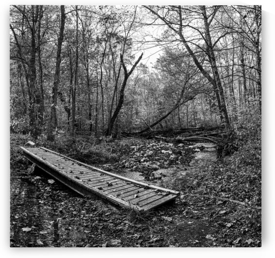 Beaver Creek Plank Bridge by Kelly S Larson