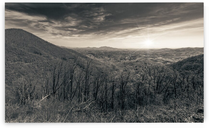 Oh Happy Day in the Mountains by Norma Brandsberg Photography
