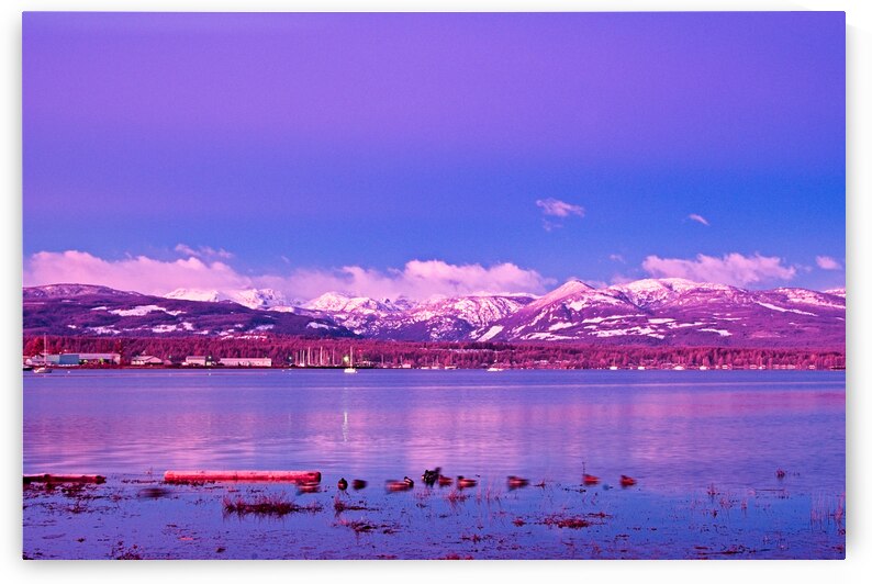 Full Light Spectrum Of Goose Spit Sunrise by CRB Images Photography