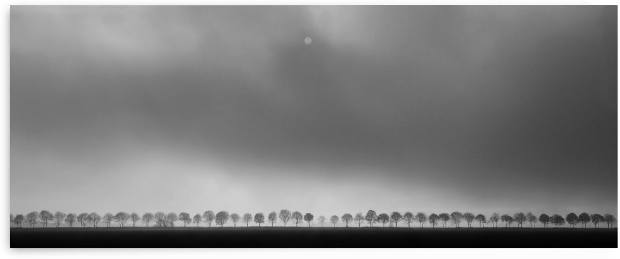 Polderlandscape by 1x