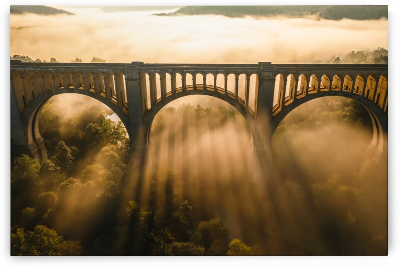 Shape of light by 1x