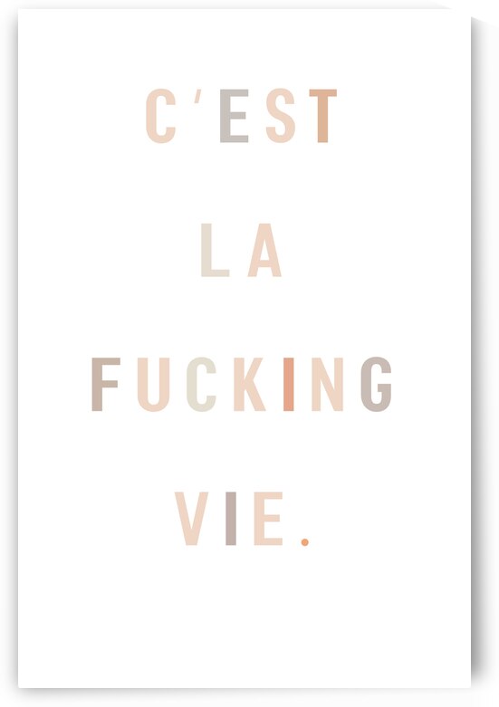 C'est la fucking vie by 1x
