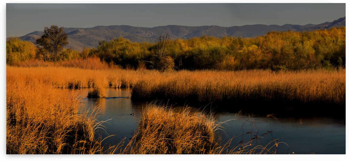 Nevada Marshlands At Sunset Panorama by Frank Wilson