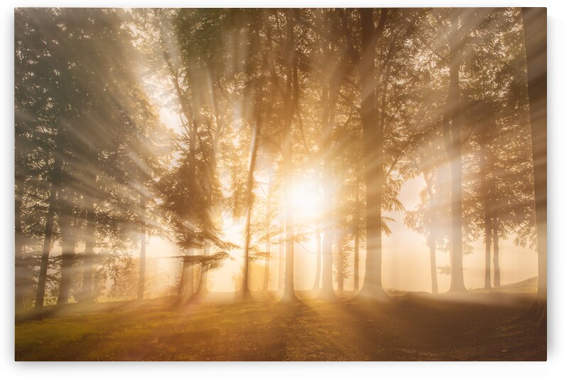 Blinded by the light by 1x