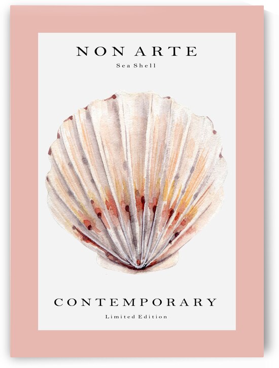 Non Arte Sea Shell no.2 by 1x
