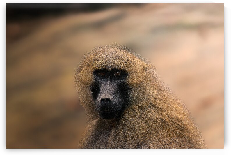 IMG 0200 by Larsphotografie